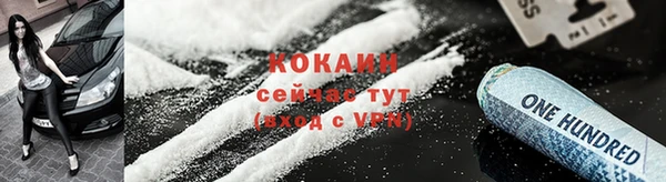 дживик Горняк