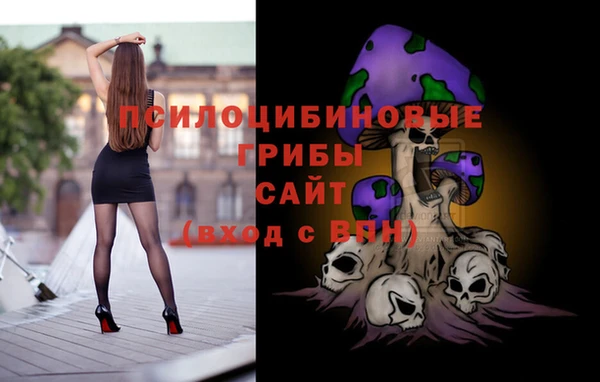 apvp Горно-Алтайск