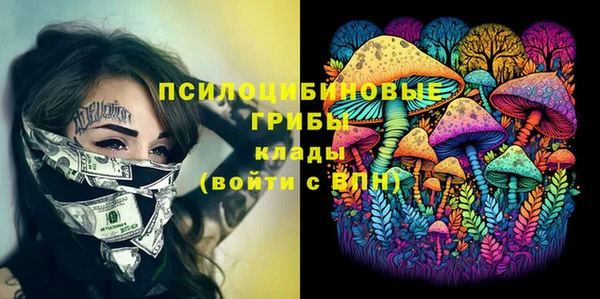 дживик Горняк