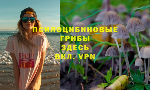 дживик Горняк