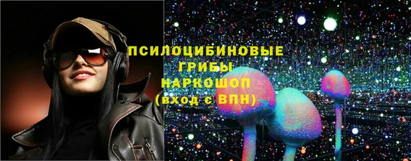 apvp Горно-Алтайск