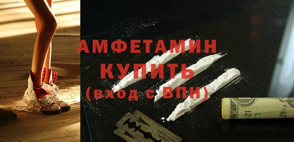 дживик Горняк