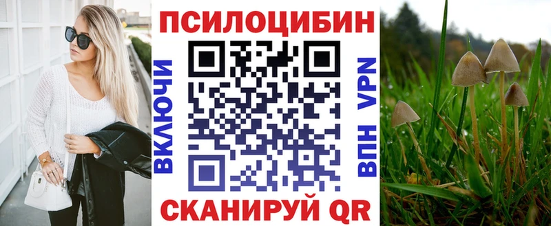 Купить закладки  Буйнакск  Псилоцибиновые грибы ЛСД 